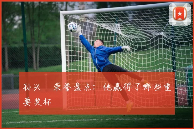 孙兴慜荣誉盘点:他赢得了哪些重要奖杯
